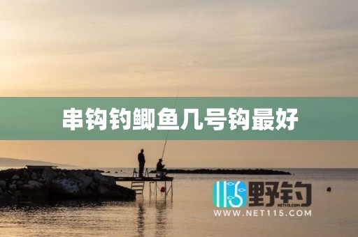 串钩钓鲫鱼几号钩最好