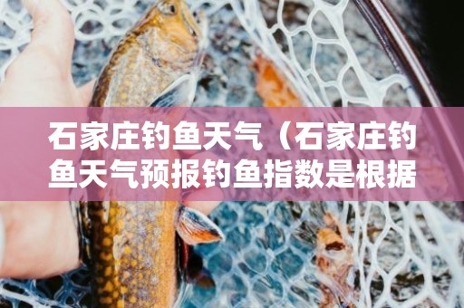 石家庄钓鱼天气（石家庄钓鱼天气预报钓鱼指数是根据什么判断）