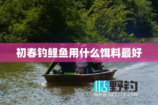 初春钓鲤鱼用什么饵料最好