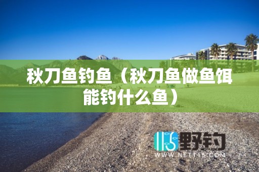 秋刀鱼钓鱼（秋刀鱼做鱼饵能钓什么鱼）