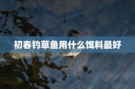 初春钓草鱼用什么饵料最好