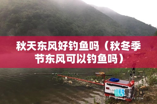 秋天东风好钓鱼吗（秋冬季节东风可以钓鱼吗）