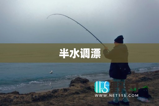 半水调漂