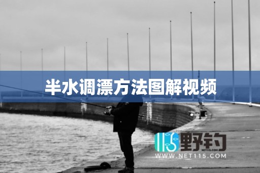 半水调漂方法图解视频