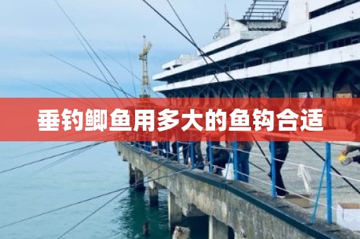 垂钓鲫鱼用多大的鱼钩合适