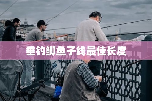 垂钓鲫鱼子线最佳长度