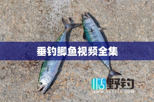 垂钓鲫鱼视频全集