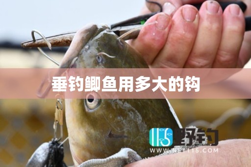 垂钓鲫鱼用多大的钩