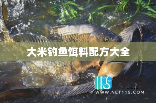 大米钓鱼饵料配方大全