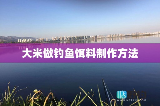 大米做钓鱼饵料制作方法