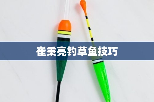 崔秉亮钓草鱼技巧