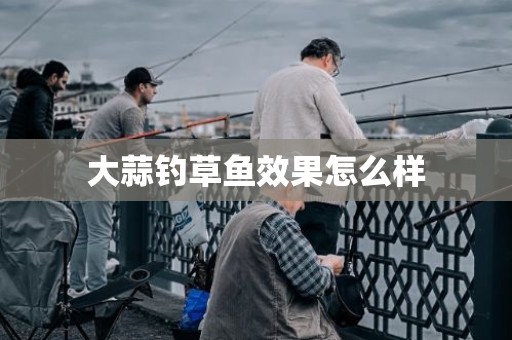 大蒜钓草鱼效果怎么样