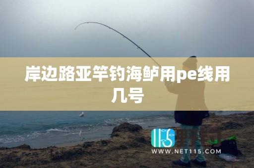 岸边路亚竿钓海鲈用pe线用几号
