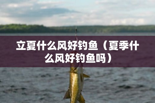 立夏什么风好钓鱼（夏季什么风好钓鱼吗）