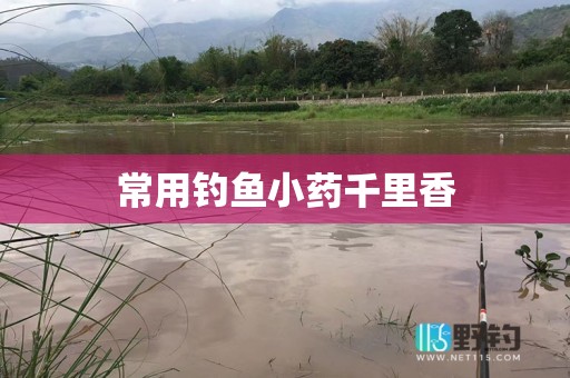 常用钓鱼小药千里香