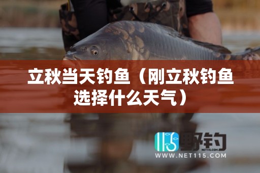 立秋当天钓鱼（刚立秋钓鱼选择什么天气）