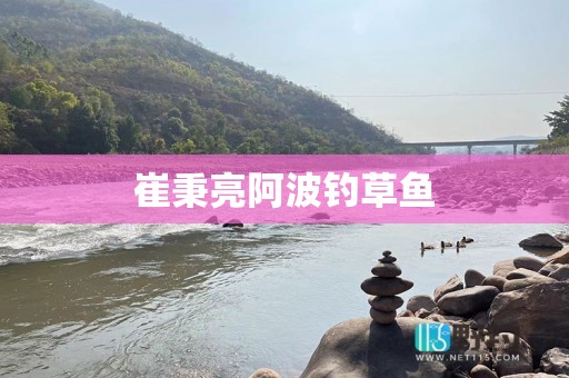 崔秉亮阿波钓草鱼