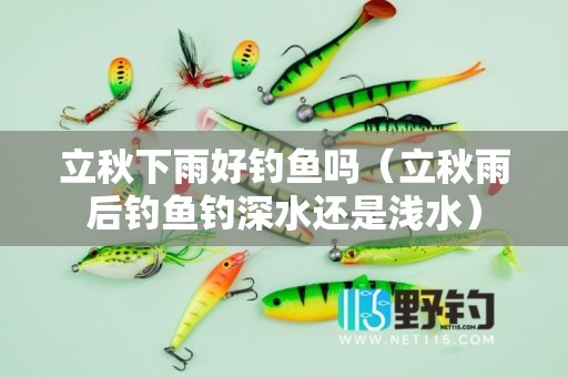 立秋下雨好钓鱼吗（立秋雨后钓鱼钓深水还是浅水）