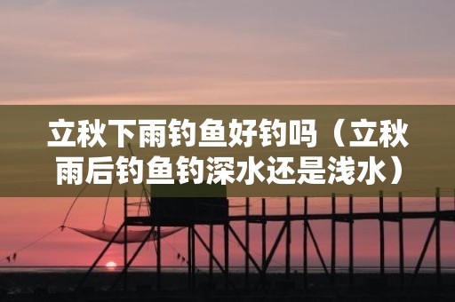立秋下雨钓鱼好钓吗（立秋雨后钓鱼钓深水还是浅水）