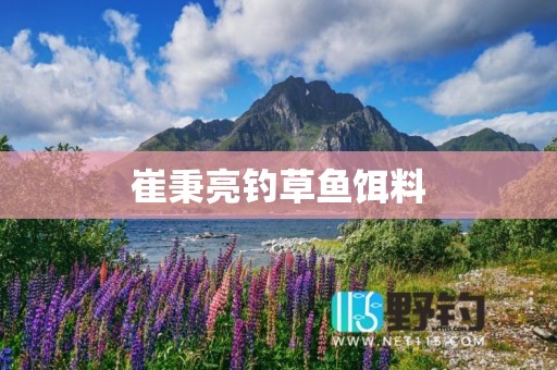 崔秉亮钓草鱼饵料