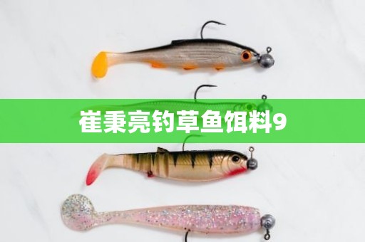 崔秉亮钓草鱼饵料9