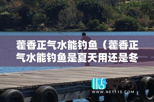 藿香正气水能钓鱼（藿香正气水能钓鱼是夏天用还是冬天）