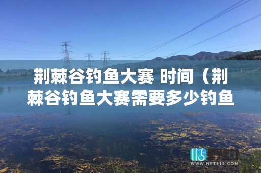 荆棘谷钓鱼大赛 时间（荆棘谷钓鱼大赛需要多少钓鱼技能）
