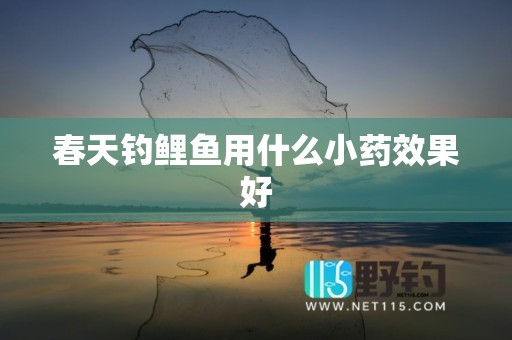 春天钓鲤鱼用什么小药效果好