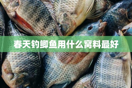 春天钓鲫鱼用什么窝料最好
