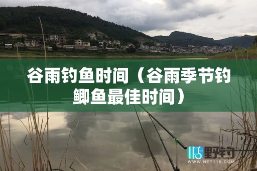 谷雨钓鱼时间（谷雨季节钓鲫鱼最佳时间）