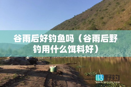 谷雨后好钓鱼吗（谷雨后野钓用什么饵料好）
