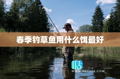 春季钓草鱼用什么饵最好