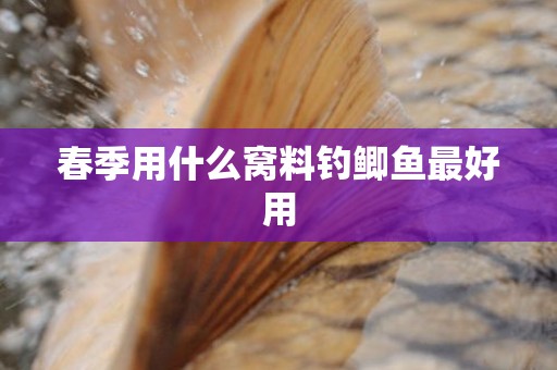 春季用什么窝料钓鲫鱼最好用