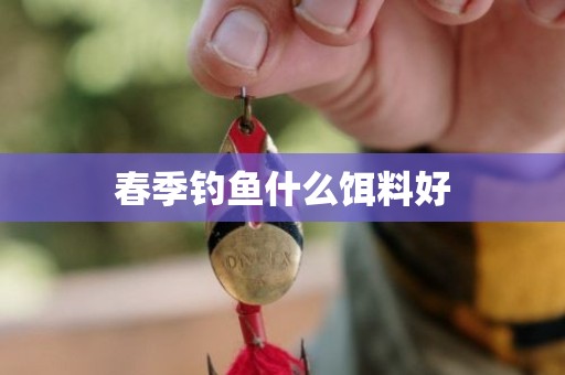 春季钓鱼什么饵料好