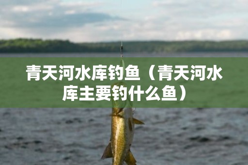 青天河水库钓鱼（青天河水库主要钓什么鱼）