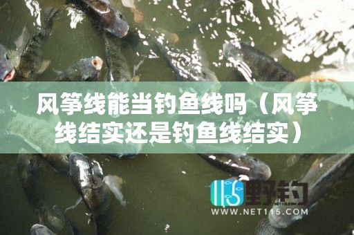 风筝线能当钓鱼线吗（风筝线结实还是钓鱼线结实）