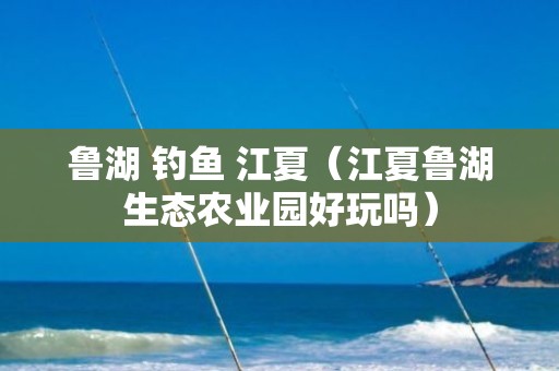 鲁湖 钓鱼 江夏（江夏鲁湖生态农业园好玩吗）