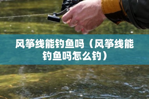 风筝线能钓鱼吗（风筝线能钓鱼吗怎么钓）