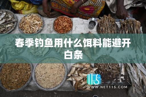 春季钓鱼用什么饵料能避开白条
