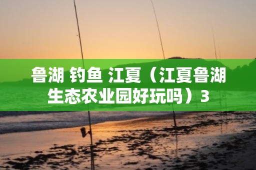 鲁湖 钓鱼 江夏（江夏鲁湖生态农业园好玩吗）3