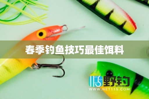 春季钓鱼技巧最佳饵料