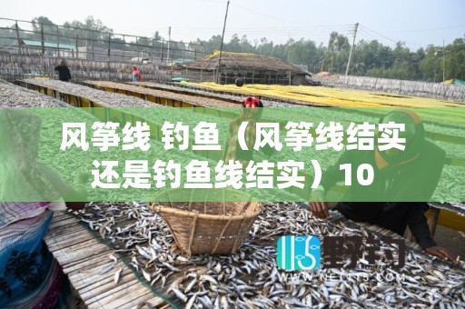 风筝线 钓鱼（风筝线结实还是钓鱼线结实）10