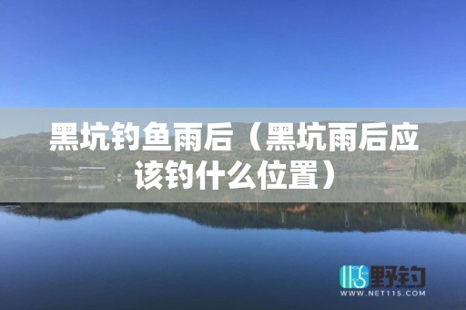 黑坑钓鱼雨后（黑坑雨后应该钓什么位置）