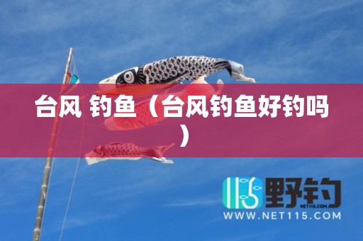 台风 钓鱼（台风钓鱼好钓吗）