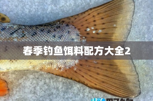 春季钓鱼饵料配方大全2