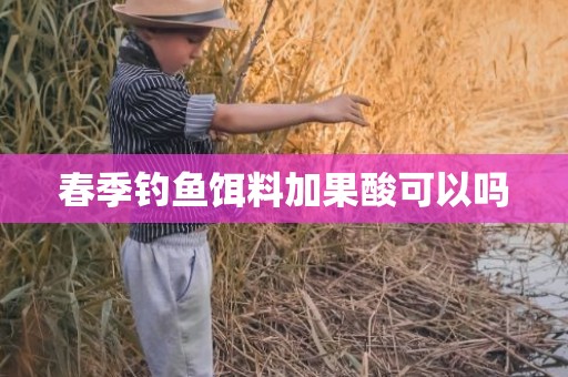 春季钓鱼饵料加果酸可以吗