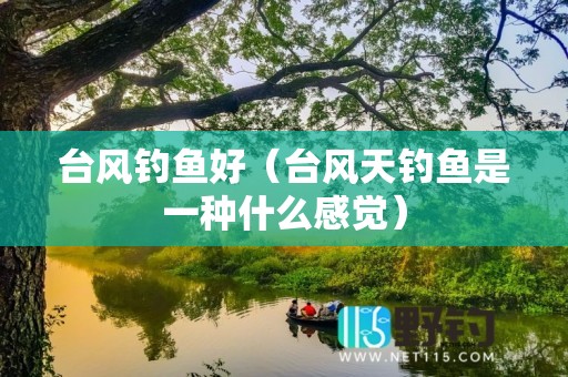 台风钓鱼好（台风天钓鱼是一种什么感觉）