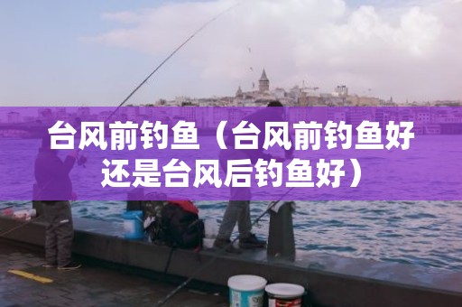 台风前钓鱼（台风前钓鱼好还是台风后钓鱼好）