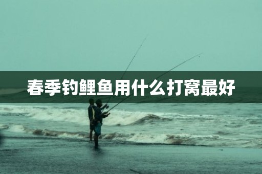 春季钓鲤鱼用什么打窝最好
