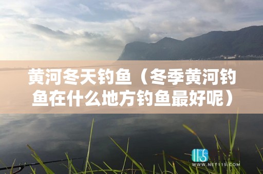 黄河冬天钓鱼（冬季黄河钓鱼在什么地方钓鱼最好呢）